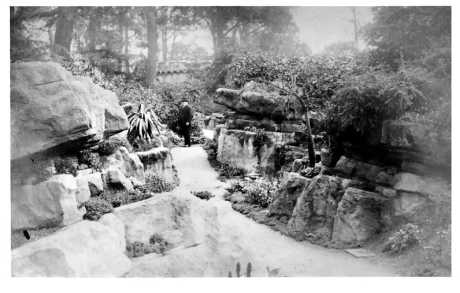 A Pulham fernery cliff