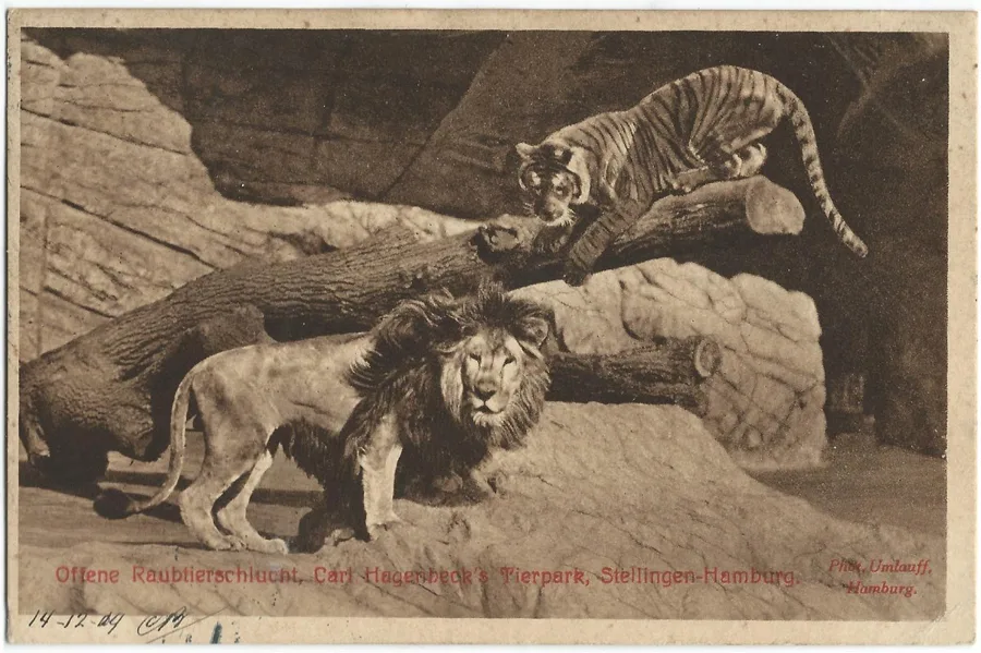 Hagenbeck's open predator gorge